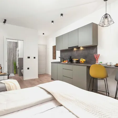 Deluxe Apartments & Rooms 